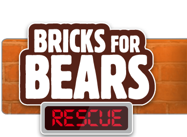 bricks-for-bears.png